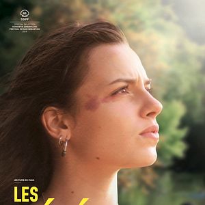 Foto Les Météorites