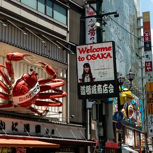 Foto Van Gogh y Japón