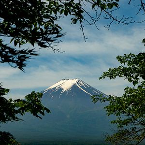 Foto Van Gogh y Japón