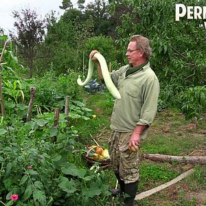 Foto Permaculture, la voie de l'Autonomie