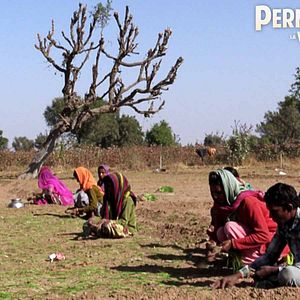 Permaculture, la voie de l''Autonomie - Documental 2019