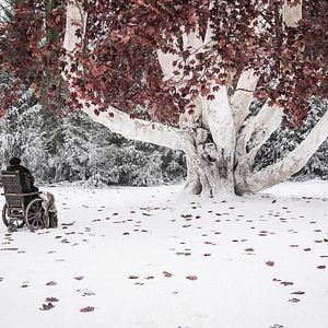 Foto Juego de Tronos