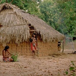 Foto El canto de la selva