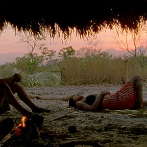 Foto El canto de la selva