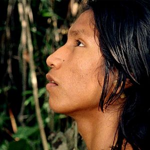 Foto El canto de la selva