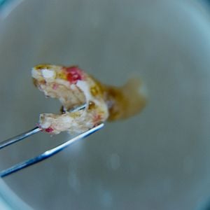 Foto Muere, Monstruo, Muere