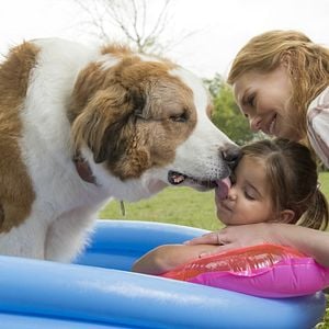 Foto Tu mejor amigo: Un nuevo viaje