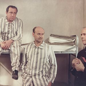 Foto A Tanú (The Witness)