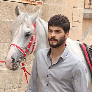 Foto Hercai