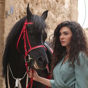 Foto Hercai