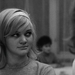 Foto Hana Brejchová