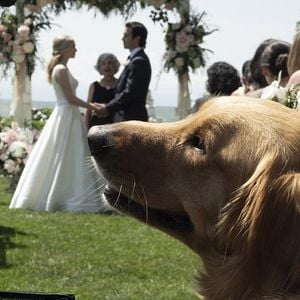 Foto Amanda Seyfried