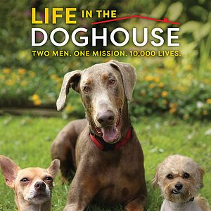 Foto Life in the Doghouse