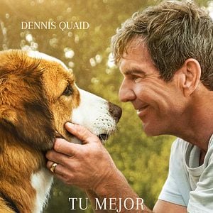 Foto Tu mejor amigo: Un nuevo viaje