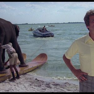 Foto Desmadre en la autopista