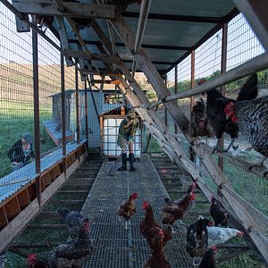 Foto Mi gran pequeña granja