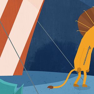 Foto Zibila y el poder de las rayas