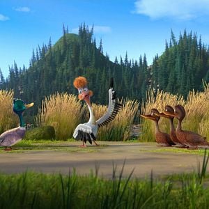 Foto Operación Panda