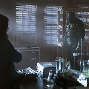 Foto Swamp Thing (La cosa del pantano)