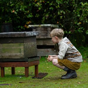 Foto El secreto de las abejas