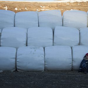 Foto Arndís Hrönn Egilsdóttir