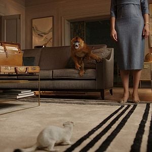 Foto La Materia Oscura