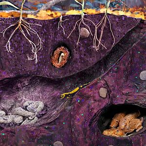 Foto Bonjour le Monde!