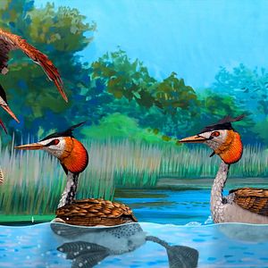 Foto Bonjour le Monde!