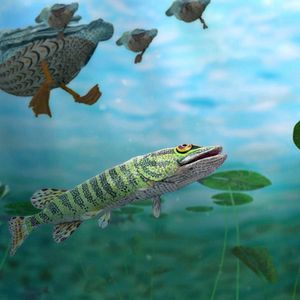 Foto Bonjour le Monde!