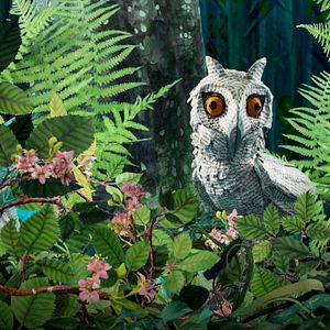 Foto Bonjour le Monde!