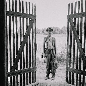 Foto El pájaro pintado