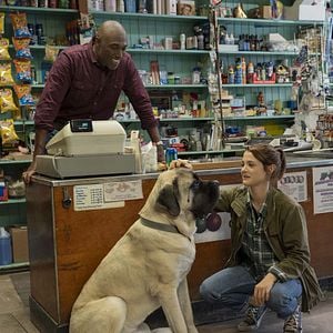 Foto Tu mejor amigo: Un nuevo viaje