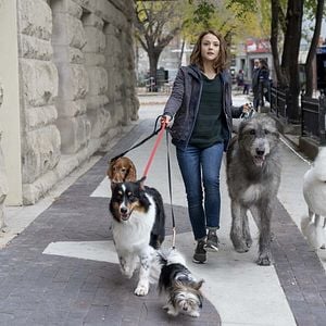 Foto Tu mejor amigo: Un nuevo viaje