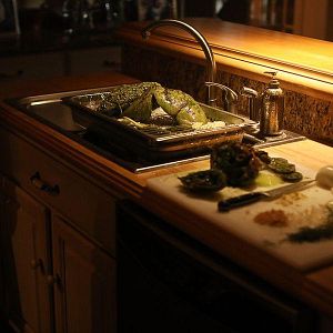 Foto Swamp Thing (La cosa del pantano)