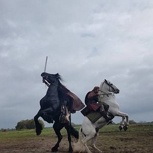 Foto La leyenda de Redbad