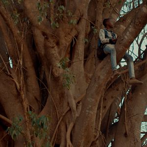 Foto Semillas de alegría