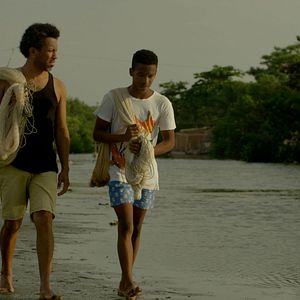 Foto Semillas de alegría