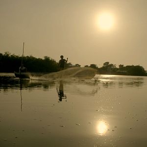 Foto Semillas de alegría