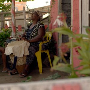 Foto Semillas de alegría