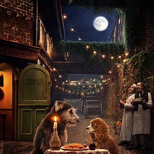 Foto La dama y el vagabundo