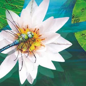 Foto Bonjour le Monde!