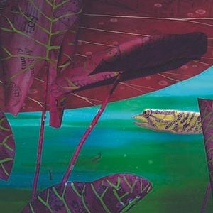 Foto Bonjour le Monde!