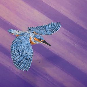 Foto Bonjour le Monde!