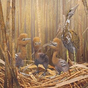 Foto Bonjour le Monde!