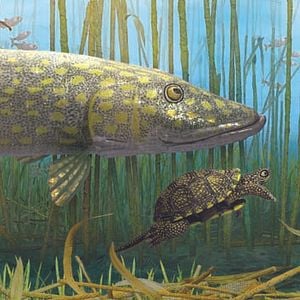 Foto Bonjour le Monde!