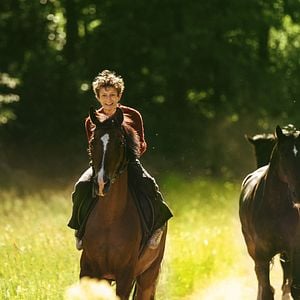 Foto Ut og stjæle hester