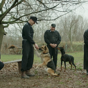 Foto Shepherd: The Story of a Jewish Dog