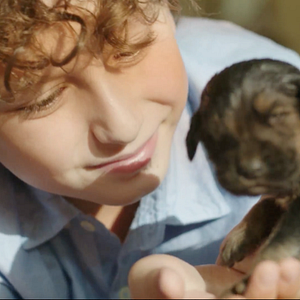 Foto Shepherd: The Story of a Jewish Dog