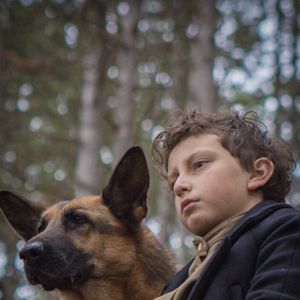 Foto Shepherd: The Story of a Jewish Dog