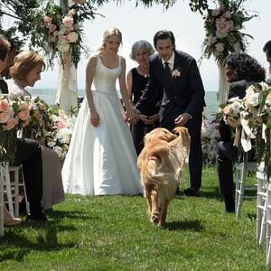 Foto Amanda Seyfried